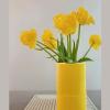image:imageRenova Yellow Toilet Paper 3Ply Ideal for Decorating Your Home or Office  Pack of 6 Compact Rolls 140 Sheets  Ecolabel Certified  Dermatologically Tested  Septic Safe  Sustainable amp SoftYellow