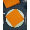 image:imageRenova 160 Premium Light Orange Napkins 2 Ply  Set of 4 Packs  Vibrant amp Versatile  Ideal for Halloween Graduation Summer or Tropicalthemed Parties