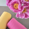 image:imageRenova Mint Paper Towel Roll 2 Ply 120 Sheets  Same Count Now More Compact and AbsorbentFuscia