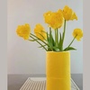 image:imageYellow Toilet Paper 3 ply Gift Box 1 Roll 140 Premium Quality sheets