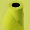 image:imageLime Green Toilet Paper 3 ply Gift box 2 Rolls 140 Premium Quality sheets