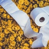 image:imageRenova Ultrafort Toilet Paper Wrapped in 4 Layers  4 Large RollsWhite