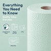 image:imageRenova Colored Paper Towel Jumbo Rolls  2 Ply Sheets for Daily Kitchen Tasks Strong Absorption Compact Roll Design DoubleFaced Paper for Versatile Use 120 Sheets per Roll Mint 3 RollsMint
