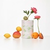 image:imageRenova Kitchen Paper Towels Blossom Design XXL Roll 120 Sheets White Pack of 2Xxl Pack of 2