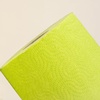 image:imageRenova Orange Paper Towel Roll 2 Ply 120 SheetsLime green