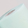 image:imageRenova Orange Paper Towel Roll 2 Ply 120 SheetsMint